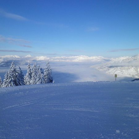 Haus Auni Metzgermeister Westendorf Dış mekan fotoğraf