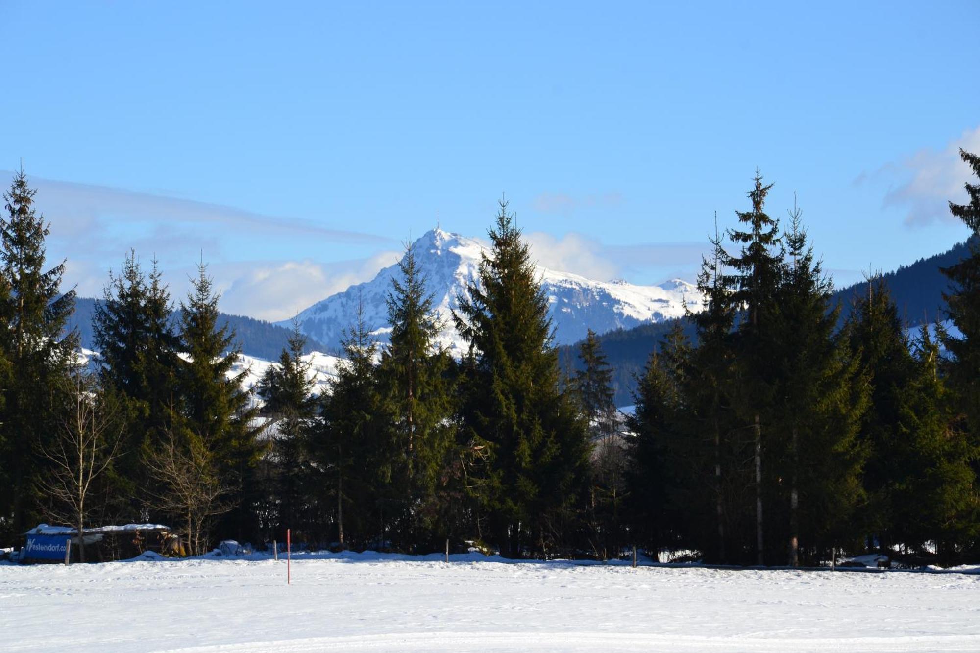 Haus Auni Metzgermeister Westendorf Dış mekan fotoğraf