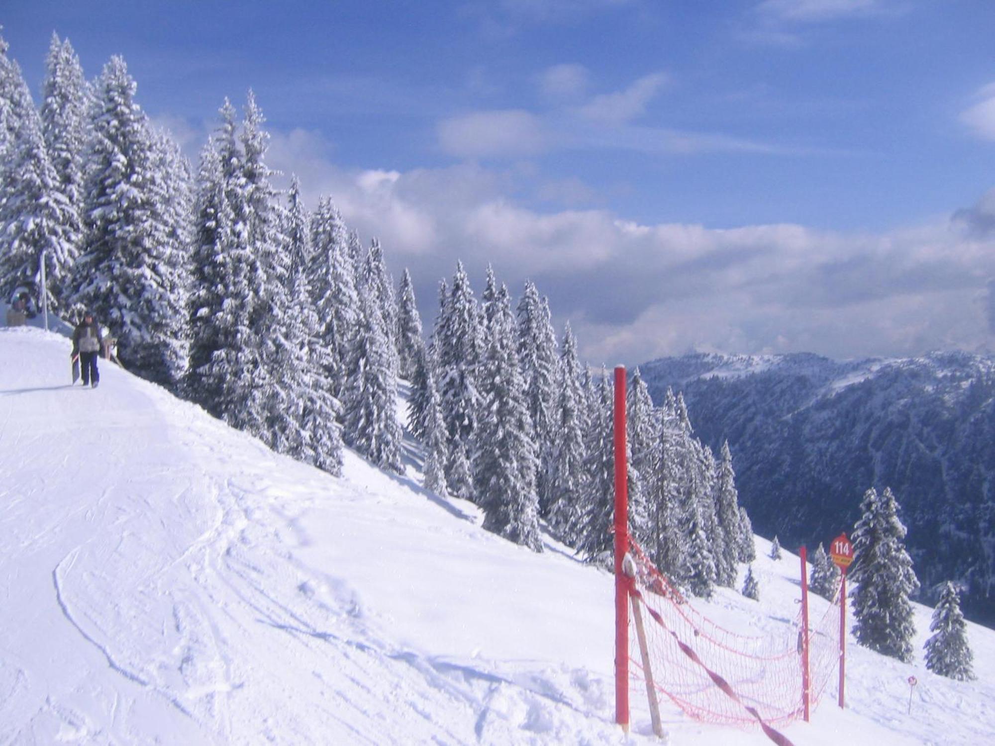 Haus Auni Metzgermeister Westendorf Dış mekan fotoğraf