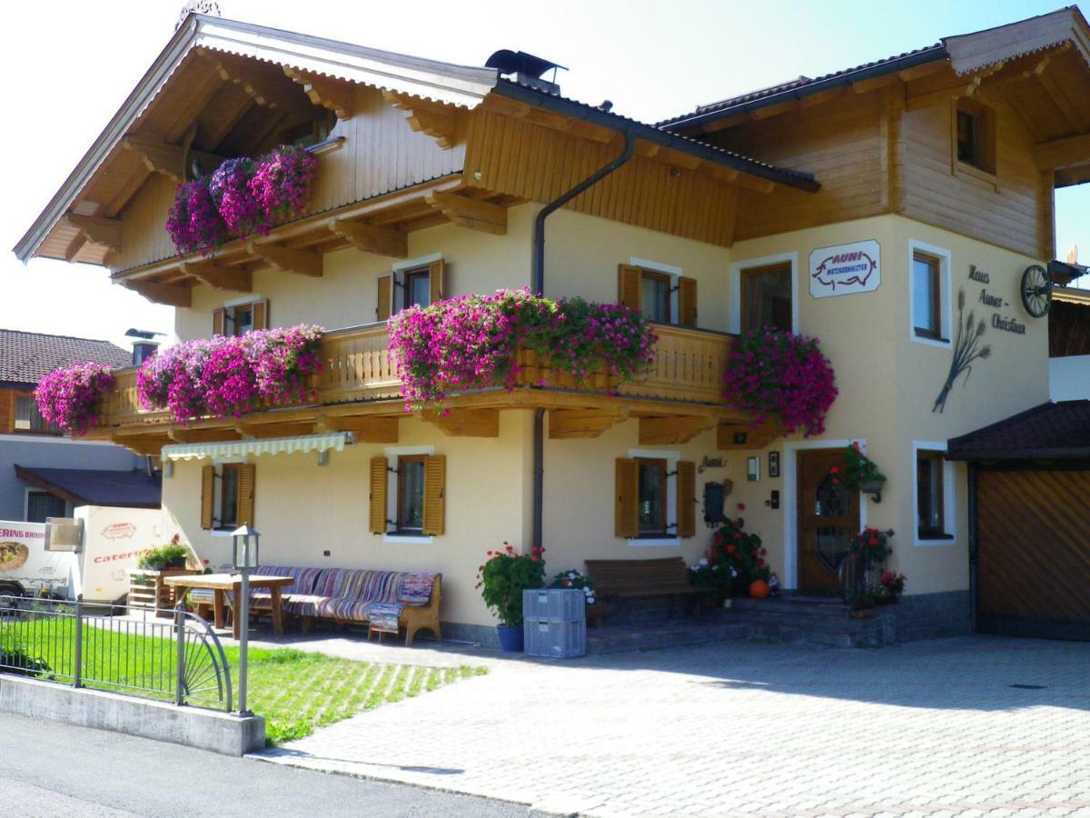Haus Auni Metzgermeister Westendorf Dış mekan fotoğraf